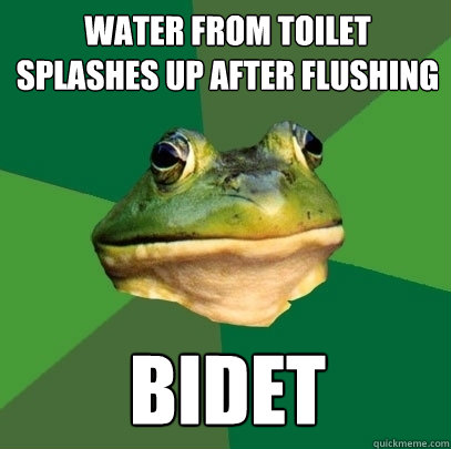 Water from toilet splashes up after flushing bidet  Foul Bachelor Frog