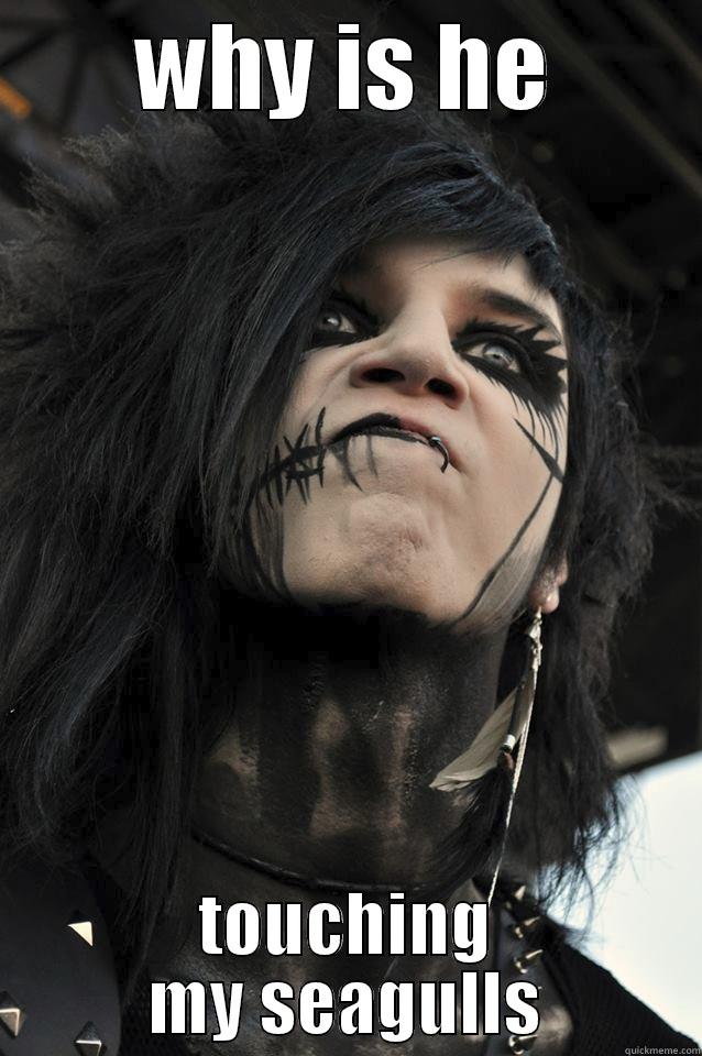 WHY IS HE TOUCHING MY SEAGULLS Misc