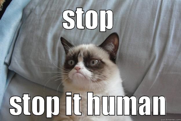 STOP STOP IT HUMAN Grumpy Cat