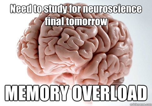 Need to study for neuroscience final tomorrow MEMORY OVERLOAD   Scumbag Brain
