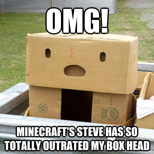 Omg!  minecraft's steve has so totally outrated my box head  Disappointed Cardboard Box