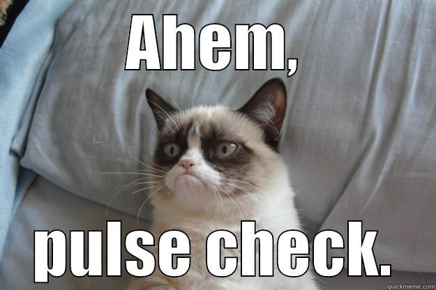Cat bitch - AHEM, PULSE CHECK. Grumpy Cat