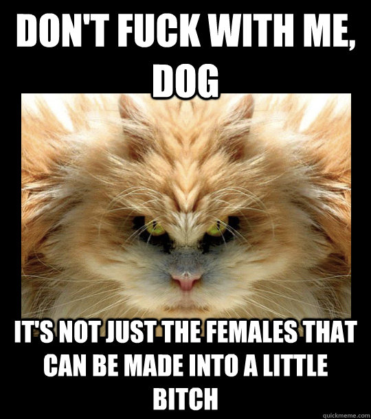 Dont fuck with this cat Dont fuck with this cat for