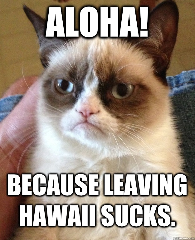 Aloha! Because leaving Hawaii sucks. - Aloha! Because leaving Hawaii sucks.  Grumpy Cat