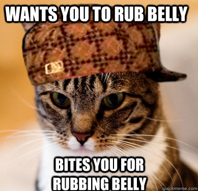 Wants you to rub belly Bites you for rubbing belly  Scumbag Cat