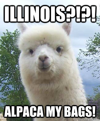 Illinois?!?! Alpaca my bags!  Alpaca-pun Alpaca