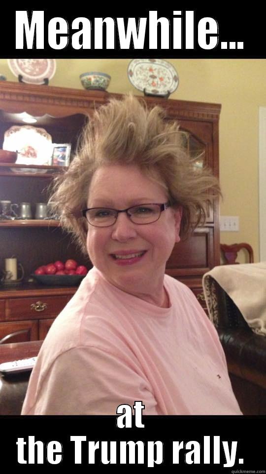 MEANWHILE... AT THE TRUMP RALLY. Misc