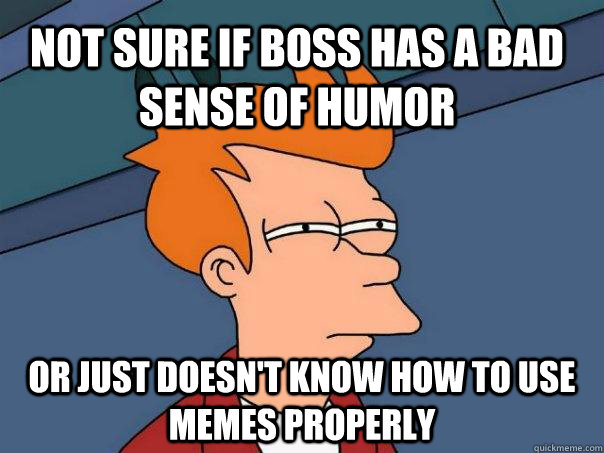 Not sure if boss has a bad sense of humor or just doesn't know how to use memes properly - Not sure if boss has a bad sense of humor or just doesn't know how to use memes properly  Futurama Fry