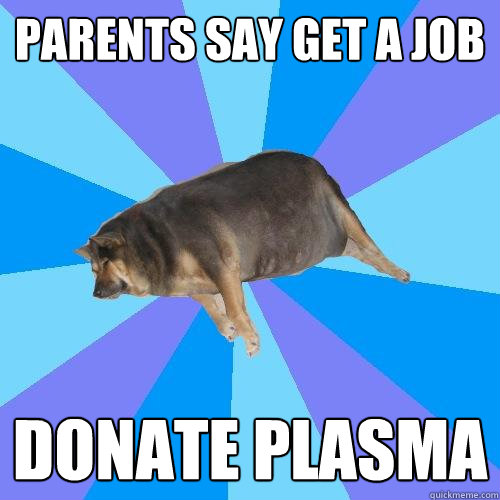parents say get a job donate plasma  Lazy college student