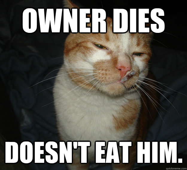 Owner Dies Doesn't Eat Him.  Cool Cat Craig