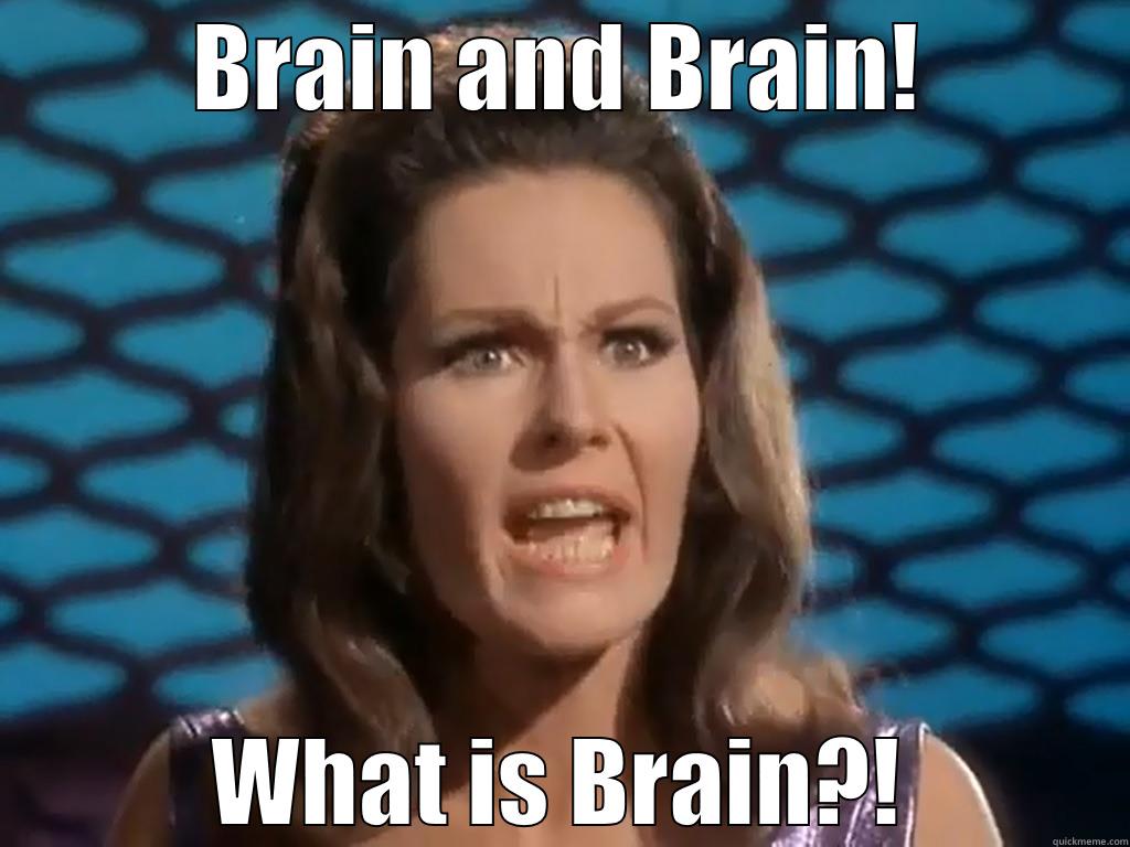 BRAIN AND BRAIN! WHAT IS BRAIN?! Misc