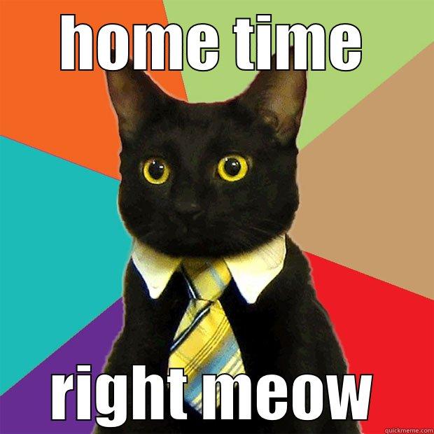 HOME TIME RIGHT MEOW Business Cat