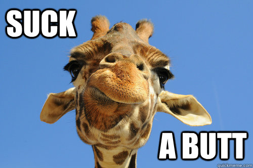 suck a butt  suck a butt giraffe