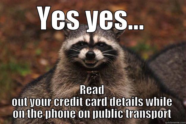 YES YES... READ OUT YOUR CREDIT CARD DETAILS WHILE ON THE PHONE ON PUBLIC TRANSPORT Evil Plotting Raccoon