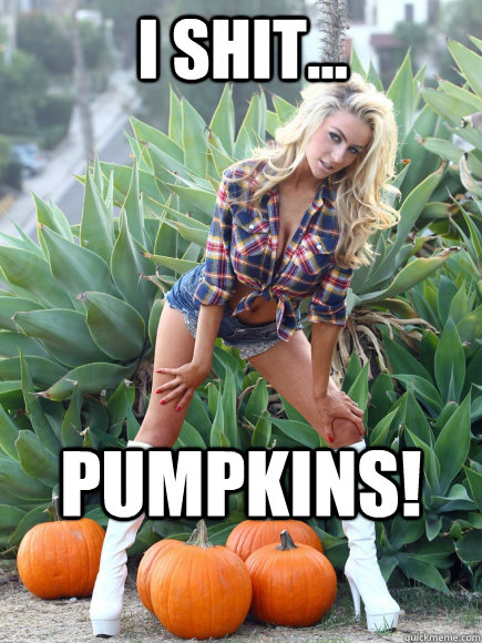 i shit... pumpkins!  Courtney Stoddens Pumpkins