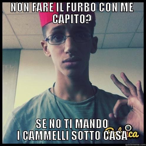 NON FARE IL FURBO CON ME CAPITO? SE NO TI MANDO I CAMMELLI SOTTO CASA Misc