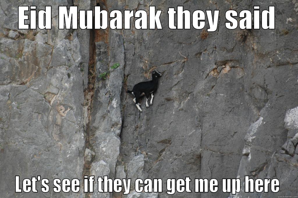 Qurbani Goat - EID MUBARAK THEY SAID LET'S SEE IF THEY CAN GET ME UP HERE Misc