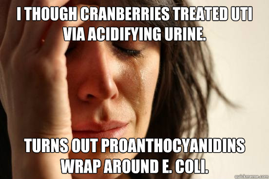 I though cranberries treated UTI via acidifying urine.  turns out proanthocyanidins wrap around E. coli.  First World Problems