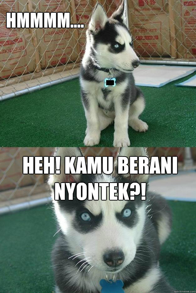 Hmmmm.... Heh! Kamu berani nyontek?!  Insanity puppy