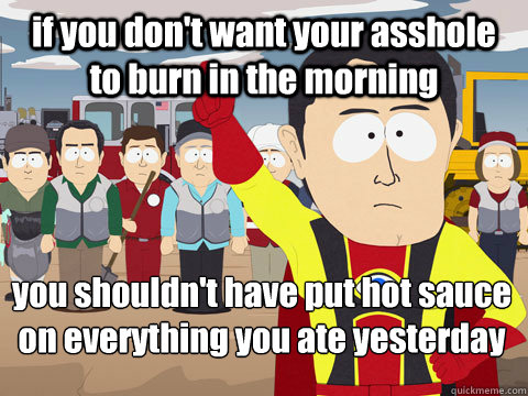 if you don't want your asshole to burn in the morning you shouldn't have put hot sauce on everything you ate yesterday  Captain Hindsight