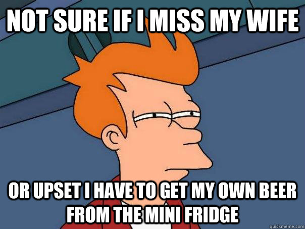 Not sure if I miss my wife or upset I have to get my own beer from the mini fridge - Not sure if I miss my wife or upset I have to get my own beer from the mini fridge  Futurama Fry
