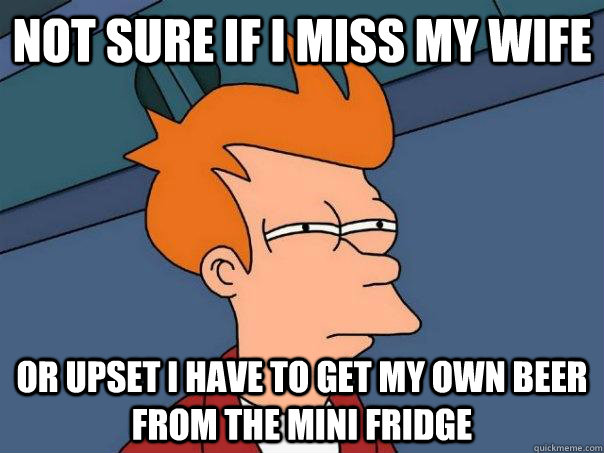 Not sure if I miss my wife or upset I have to get my own beer from the mini fridge  Futurama Fry