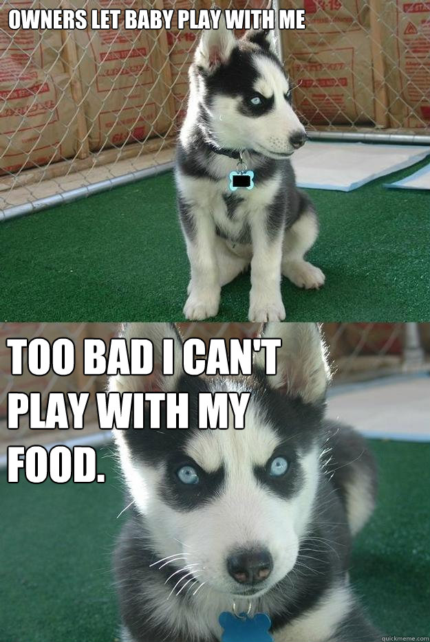 Owners let baby play with me too bad i can't play with my food.  Insanity puppy