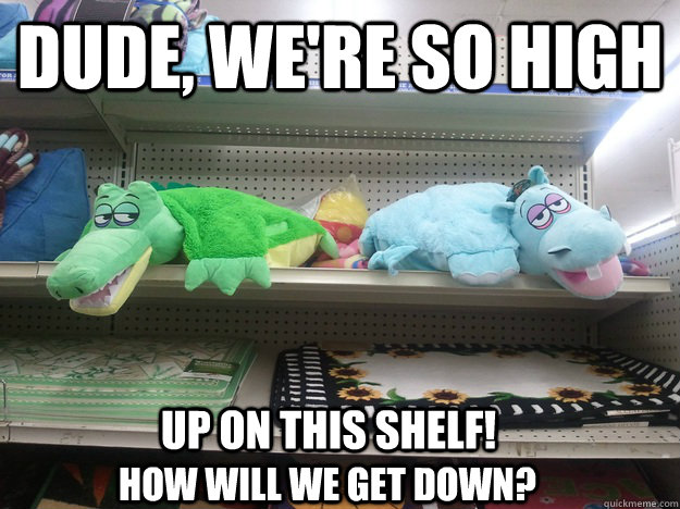 Dude, we're so high up on this shelf! how will we get down?  