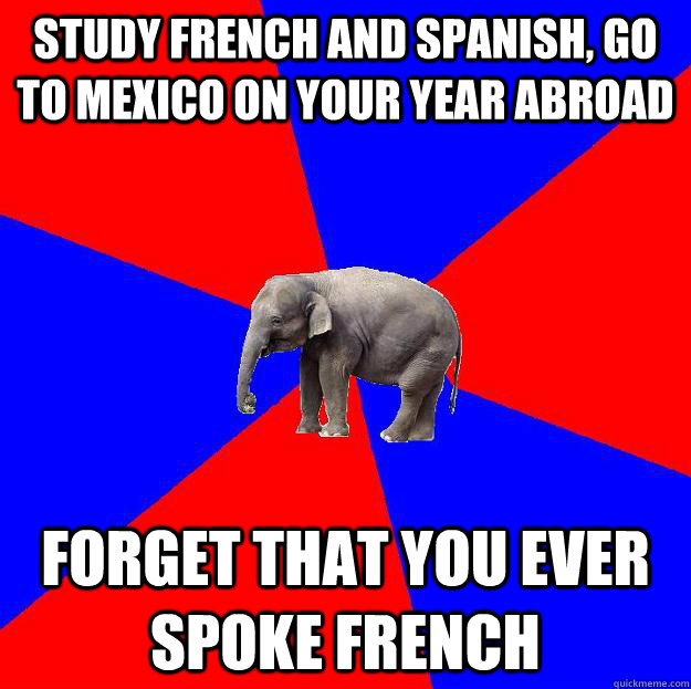 Study French and Spanish, Go to Mexico on your year abroad Forget that you ever spoke French - Study French and Spanish, Go to Mexico on your year abroad Forget that you ever spoke French  Foreign language elephant