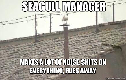 Seagull manager makes a lot of noise, shits on everything, flies away  