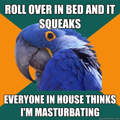 Roll over in bed and it squeaks  everyone in house thinks i'm masturbating   Paranoid Parrot
