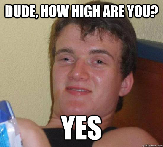 dude, how high are you? yes - dude, how high are you? yes  Really High Guy