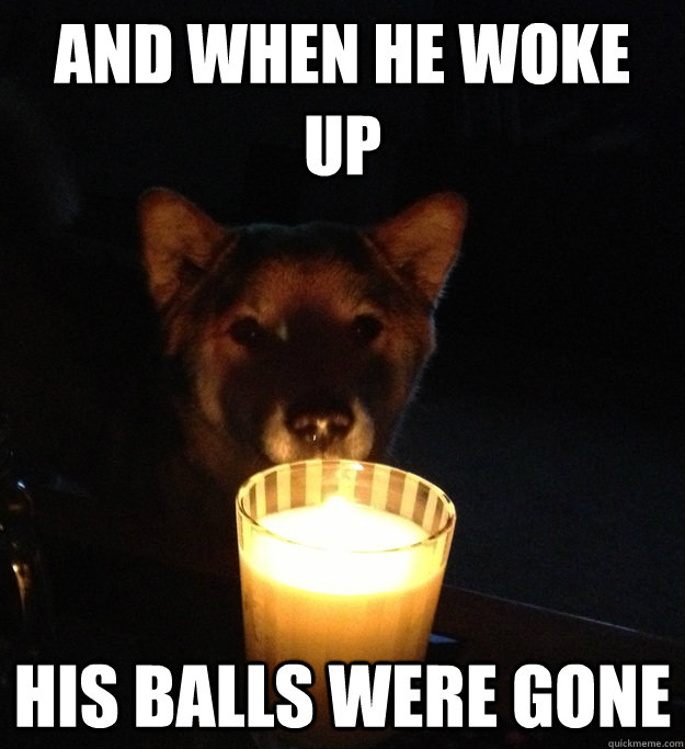 AND WHEN HE WOKE UP HIS BALLS WERE GONE - AND WHEN HE WOKE UP HIS BALLS WERE GONE  Scary Story Dog