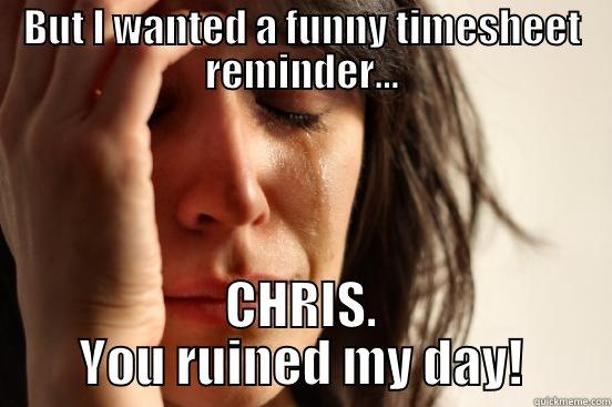 But I wanted a funny timesheet reminder - BUT I WANTED A FUNNY TIMESHEET REMINDER... CHRIS. YOU RUINED MY DAY! First World Problems