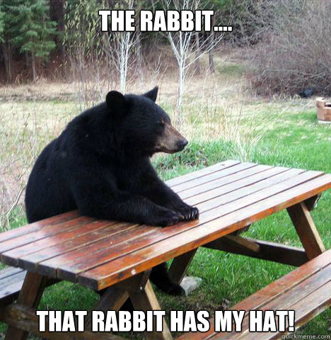 the rabbit.... that rabbit has my hat! - the rabbit.... that rabbit has my hat!  waiting bear