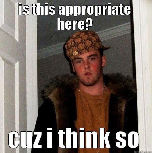 IS THIS APPROPRIATE HERE? CUZ I THINK SO Scumbag Steve