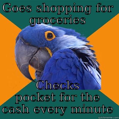 GOES SHOPPING FOR GROCERIES CHECKS POCKET FOR THE CASH EVERY MINUTE Paranoid Parrot