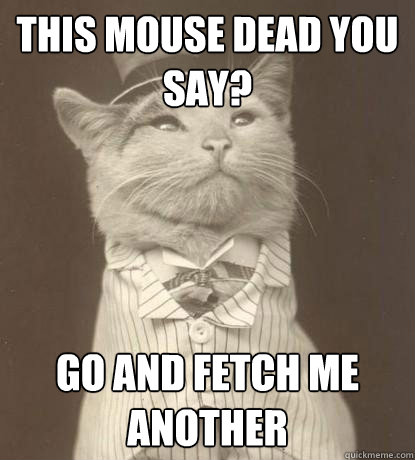 this mouse dead you say? go and fetch me another - this mouse dead you say? go and fetch me another  Aristocat