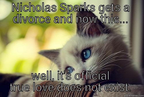 NICHOLAS SPARKS GETS A DIVORCE AND NOW THIS... WELL, IT'S OFFICIAL TRUE LOVE DOES NOT EXIST. First World Problems Cat