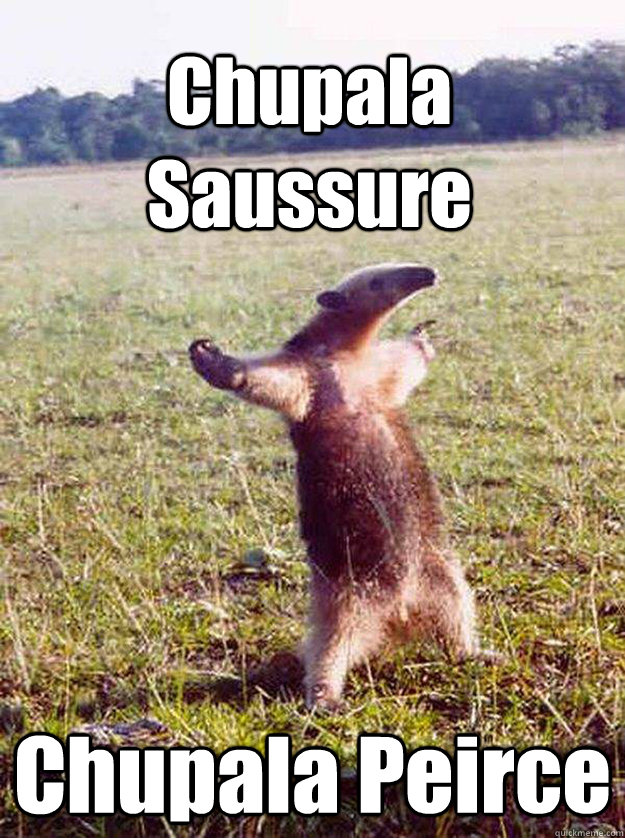 Chupala Saussure Chupala Peirce  anteater