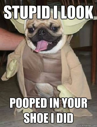 stupid i look pooped in your shoe I did - stupid i look pooped in your shoe I did  Dogs in stupid costumes