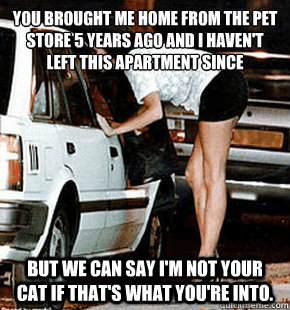 You brought me home from the pet store 5 years ago and I haven't left this apartment since  But we can say I'm not your cat if that's what you're into.  FB karma whore