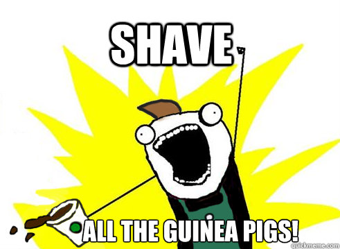SHAVE ALL THE GUINEA PIGS!  ALL THE COFFEE