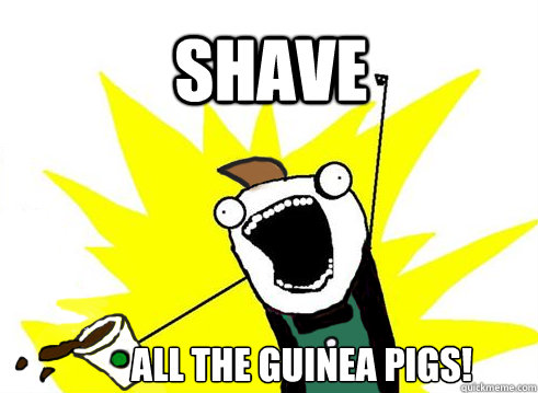 SHAVE ALL THE GUINEA PIGS!  