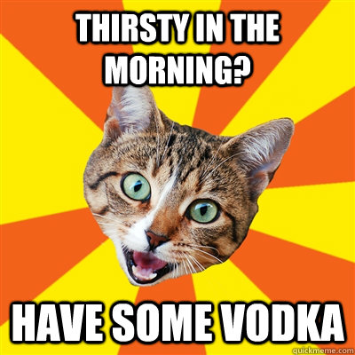 thirsty in the morning? have some vodka  Bad Advice Cat