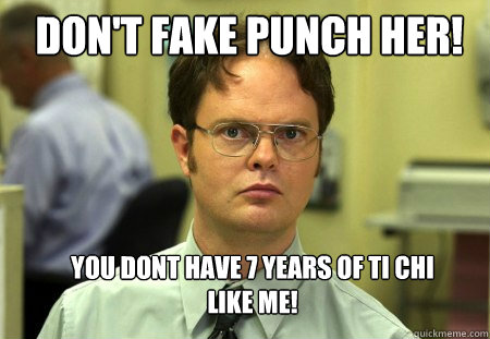 DON'T FAKE PUNCH HER!  you dont have 7 years of ti chi like me!  - DON'T FAKE PUNCH HER!  you dont have 7 years of ti chi like me!   Schrute