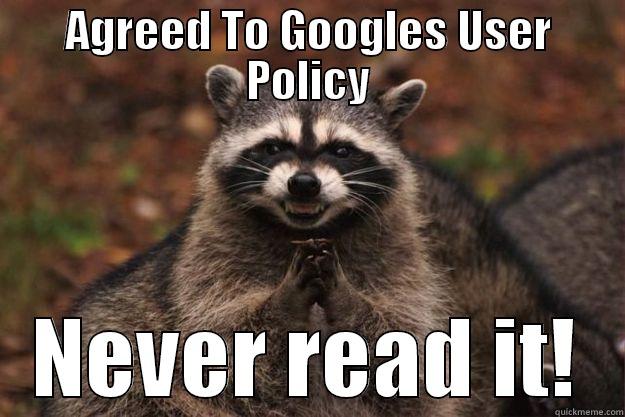 AGREED TO GOOGLES USER POLICY NEVER READ IT! Evil Plotting Raccoon