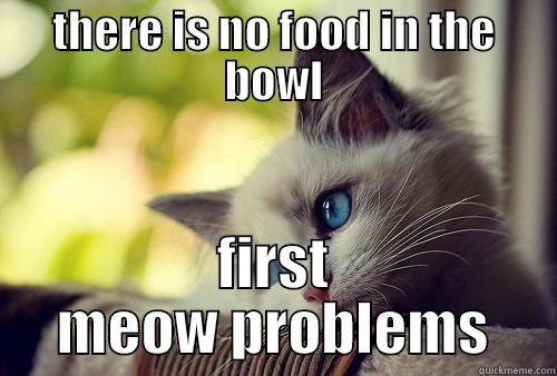 THERE IS NO FOOD IN THE BOWL FIRST MEOW PROBLEMS First World Problems Cat