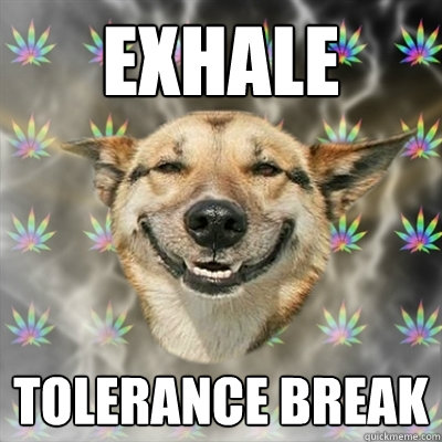 Exhale tolerance Break  Stoner Dog