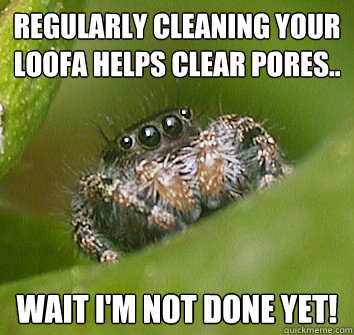Regularly cleaning your loofa helps clear pores.. Wait I'm not done yet!  Misunderstood Spider